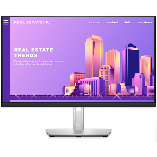 Dell P2422H (210-AZYX)